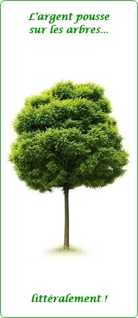 Croissance automatique des for&ecirc;ts !